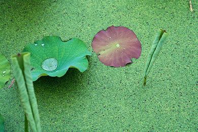 《堡垒之夜》进一步扩大元宇宙 推出“派对世界”模式